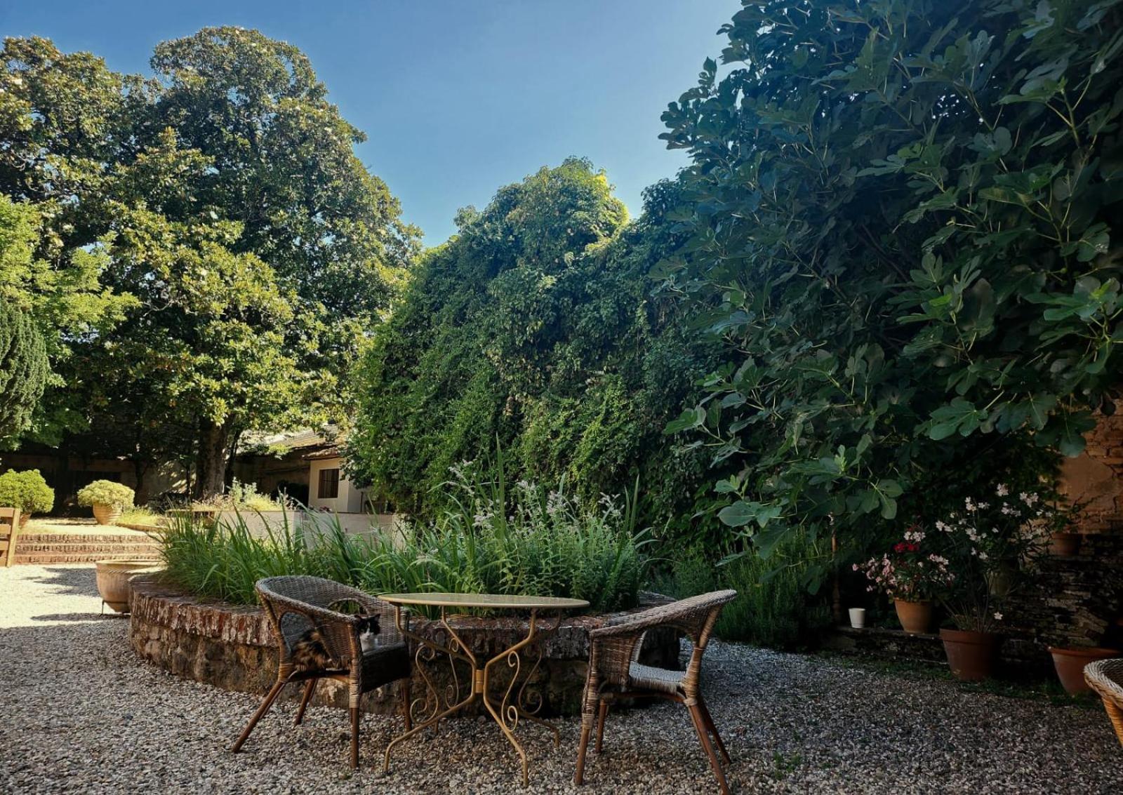 La Cour Verte Gaillac Exterior foto